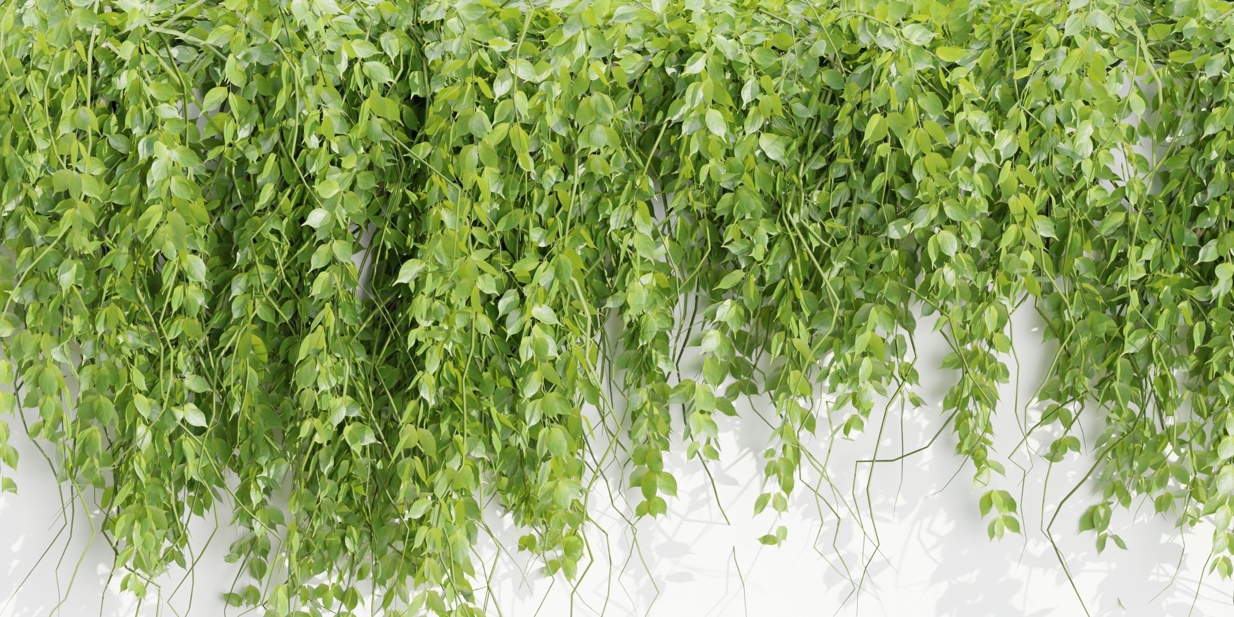 Hanging wall plants collection vol 109-Blender 3D model_1