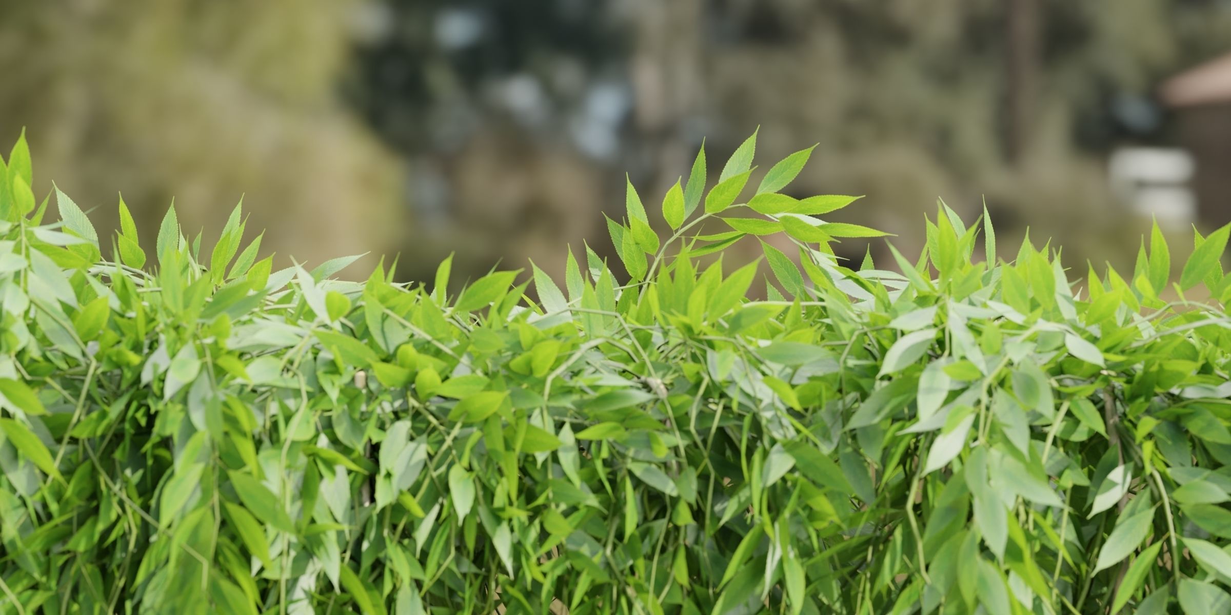 Hanging wall plants collection vol 109-Blender 3D model_2