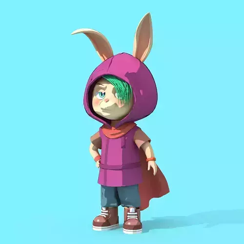 Bunny Collection 988