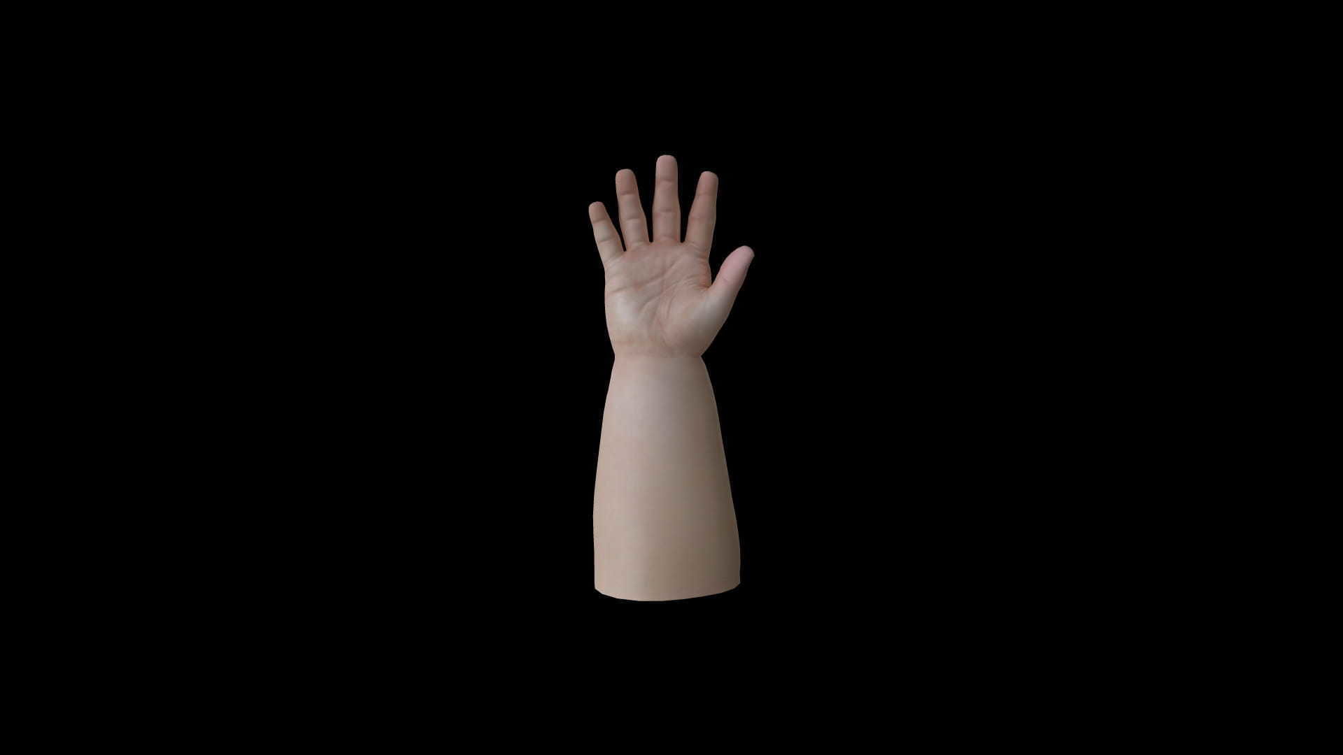 HAND10 Baby Hand animation Low-poly 3D model_2