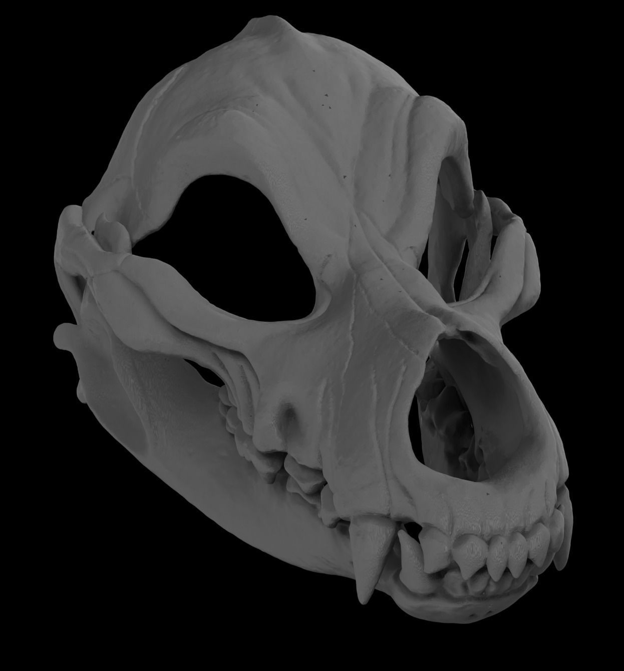 Articulated Wolf Skull Mask 3D print model_4