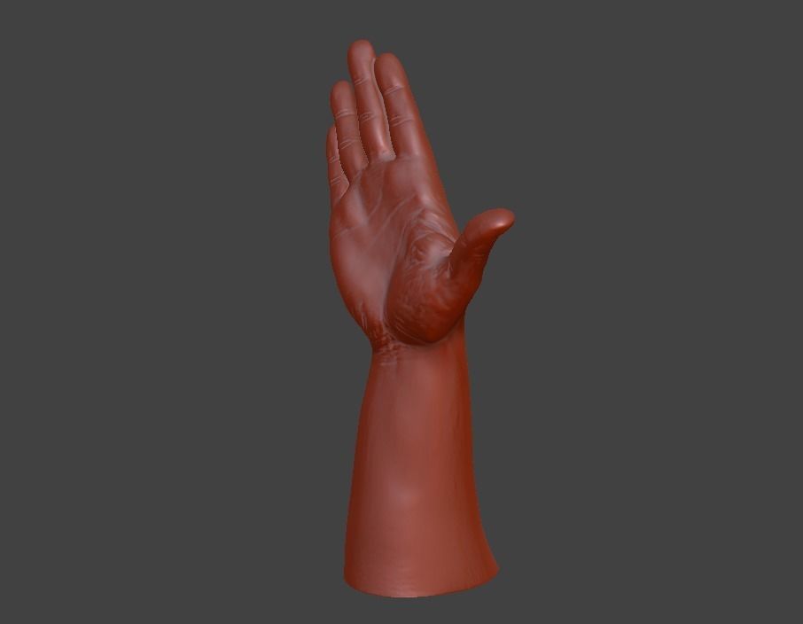 human hand signs and gestures 3D print model_119