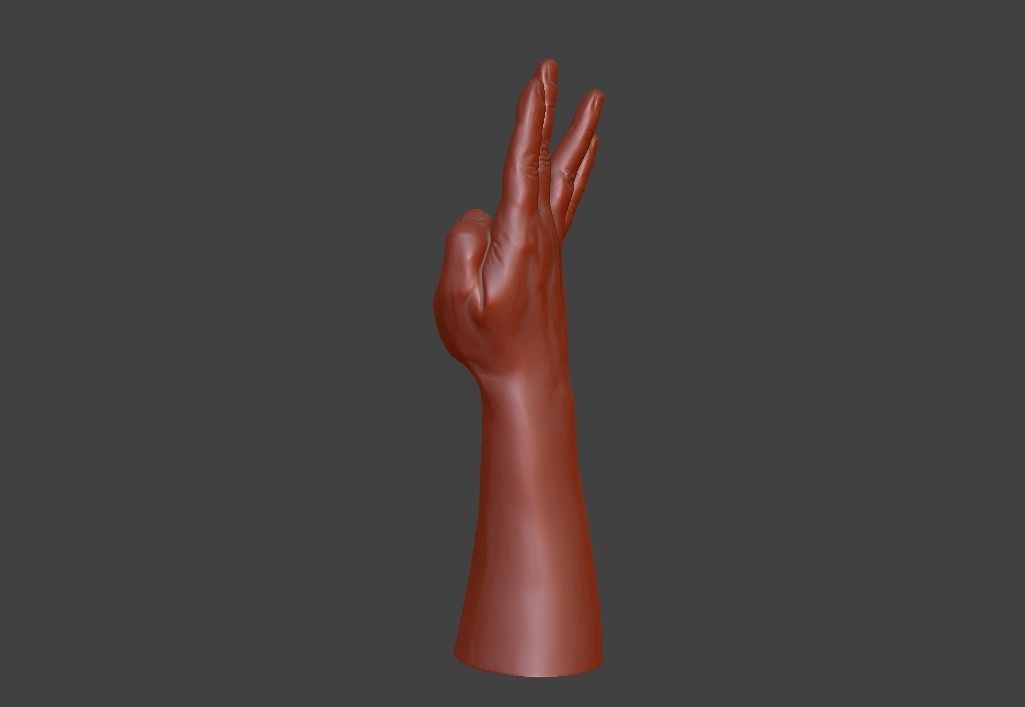 human hand signs and gestures 3D print model_123