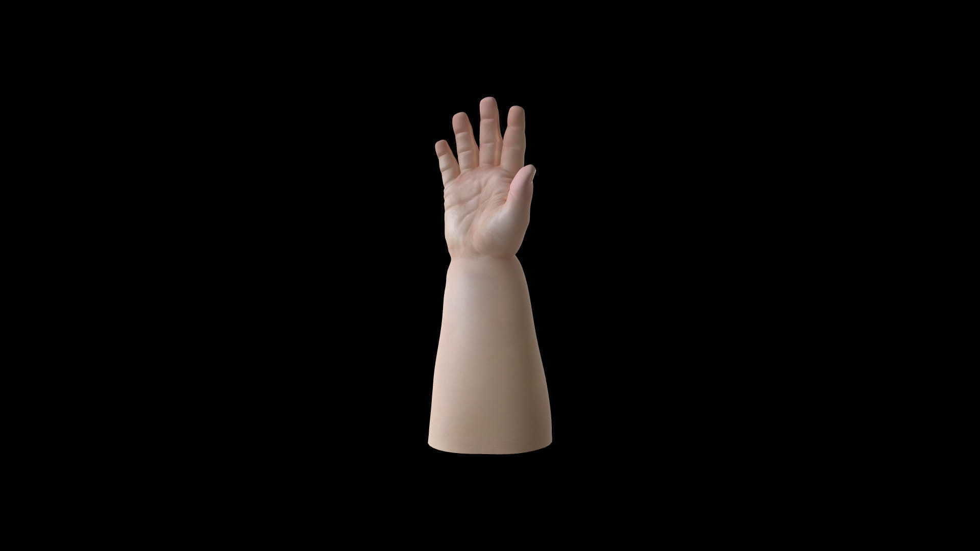 HAND11 Baby counting animation 3D model_5