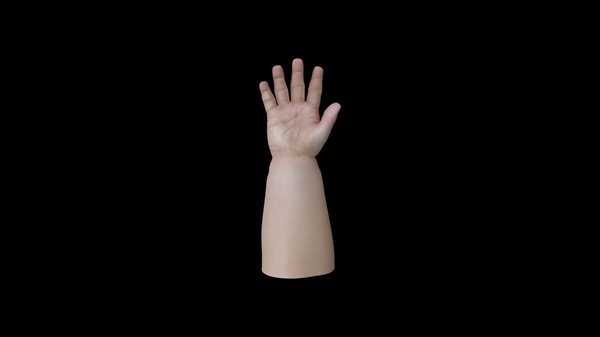 HAND11 Baby counting animation 3D model_3