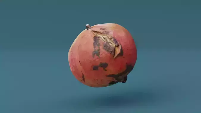 Pomegranate Scan 