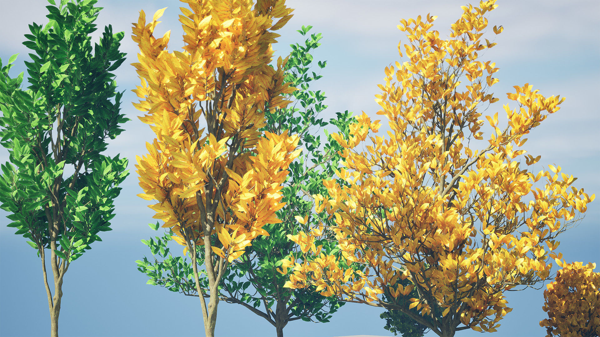 Fall and green Foliage Saplings trees 3d pack Low-poly 3D model_4