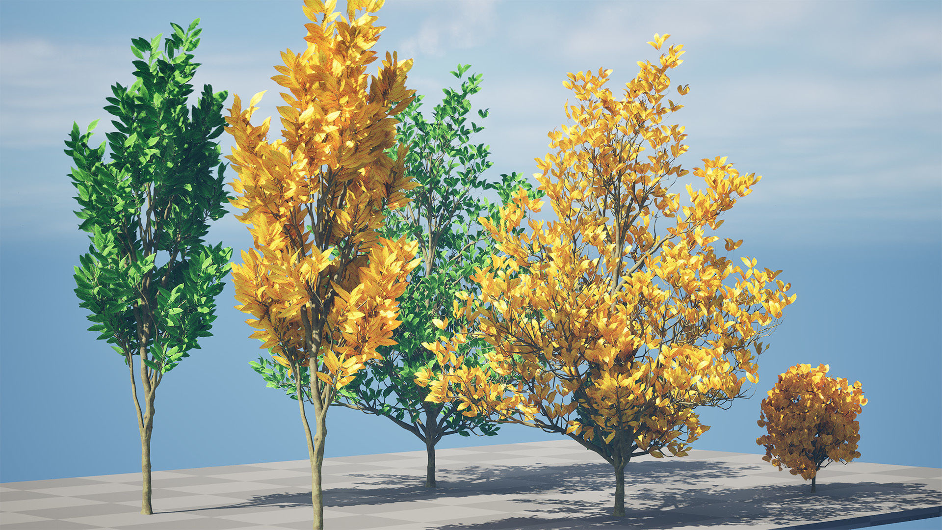 Fall and green Foliage Saplings trees 3d pack Low-poly 3D model_7