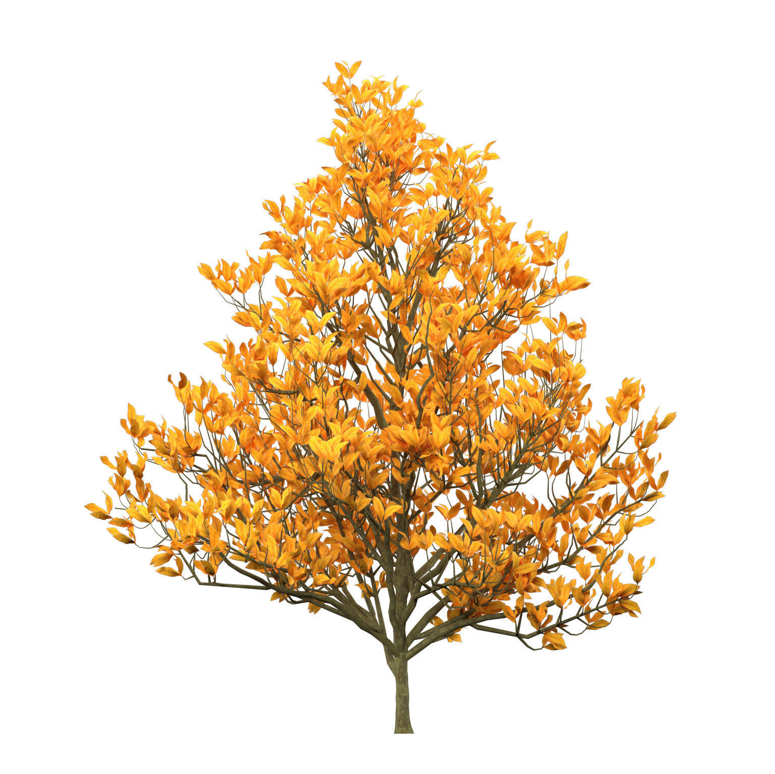 Fall and green Foliage Saplings trees 3d pack Low-poly 3D model_11