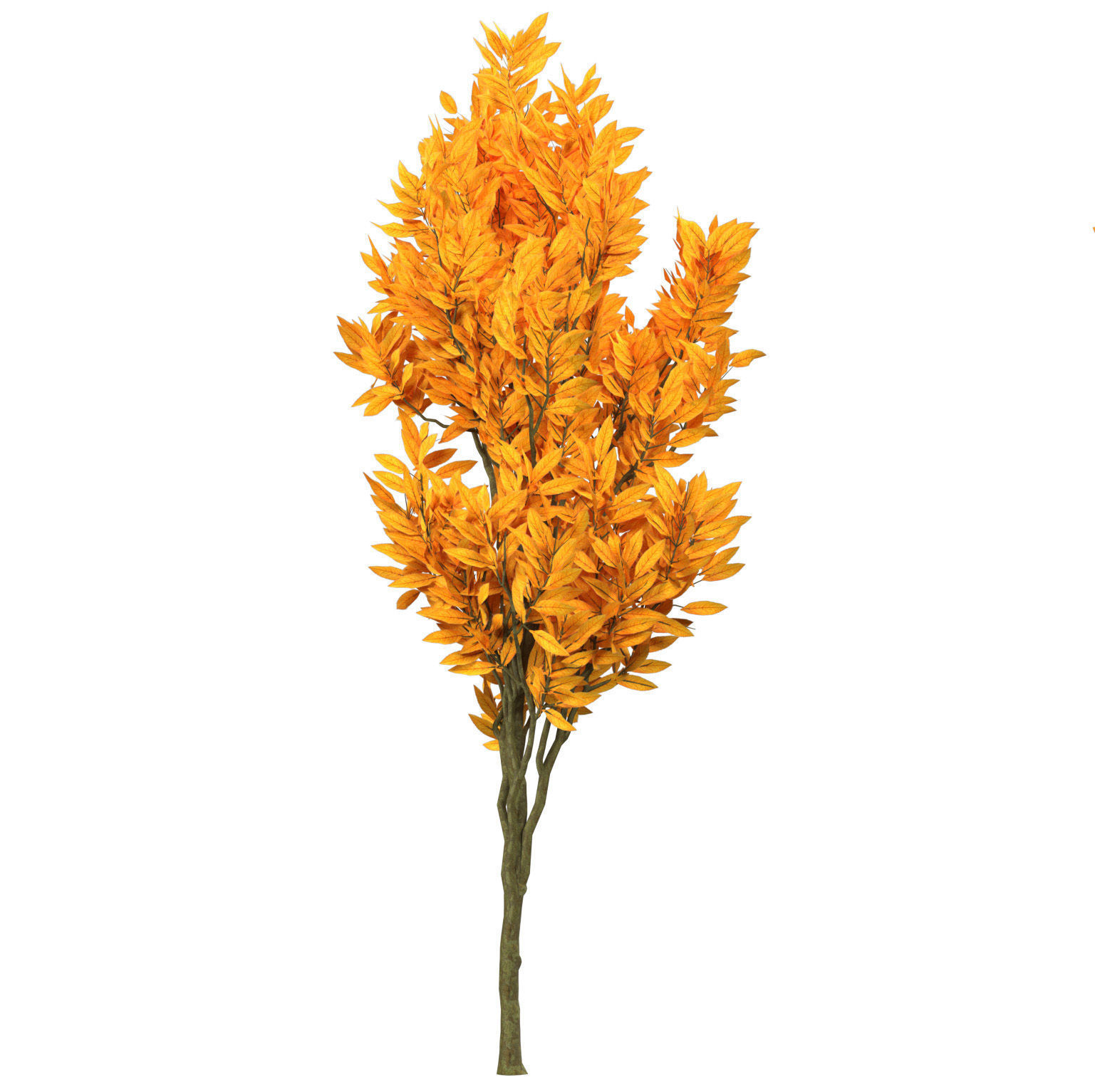 Fall and green Foliage Saplings trees 3d pack Low-poly 3D model_12