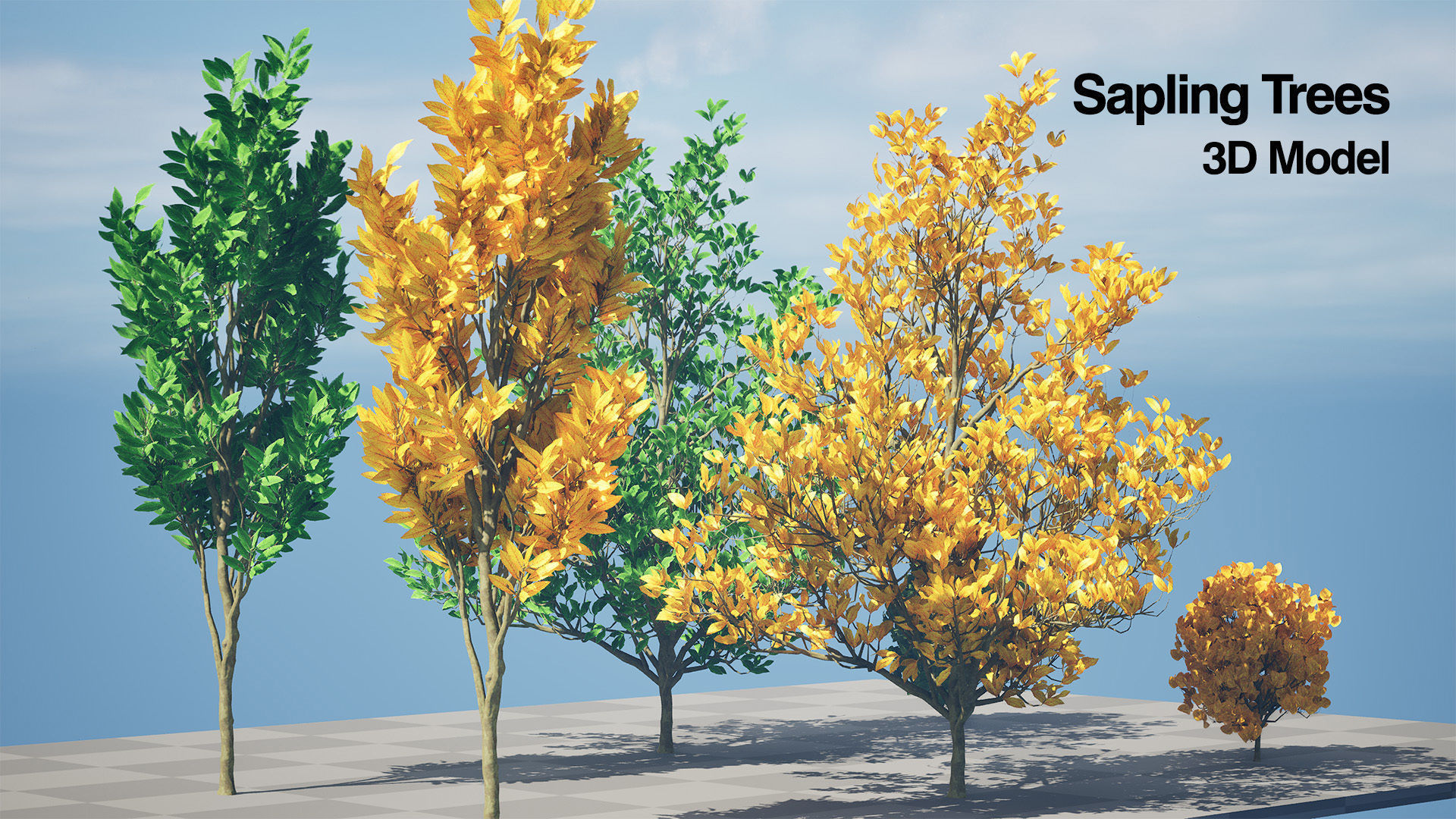 Fall and green Foliage Saplings trees 3d pack Low-poly 3D model_6
