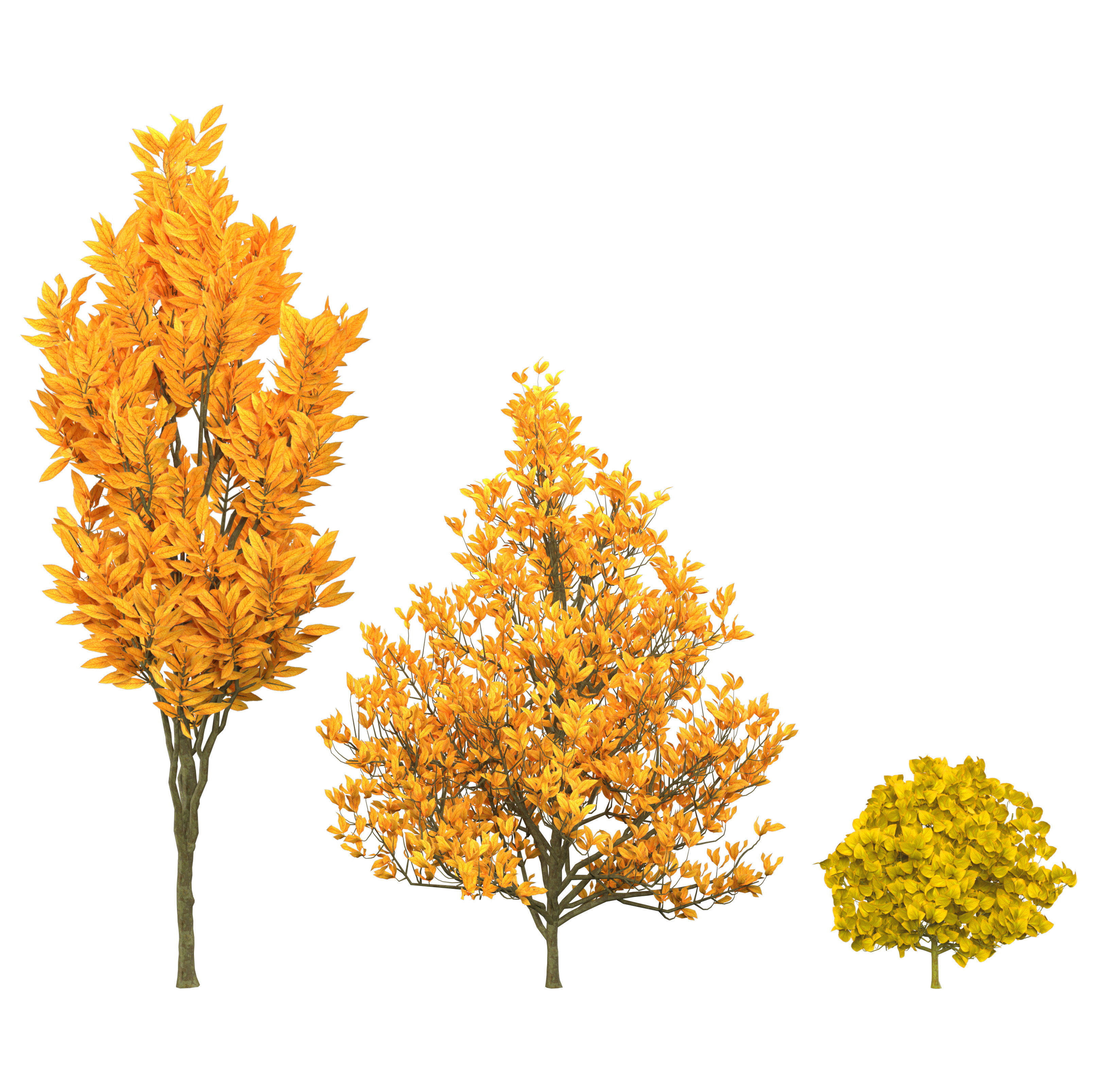 Fall and green Foliage Saplings trees 3d pack Low-poly 3D model_10