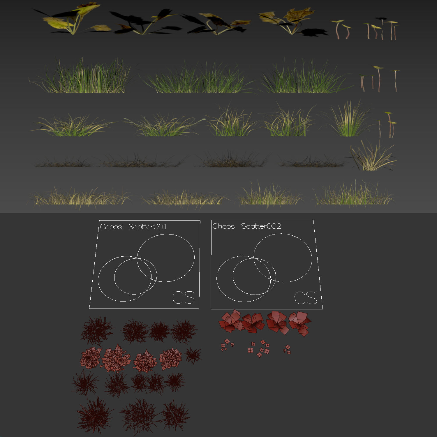 grass10 3D model_5