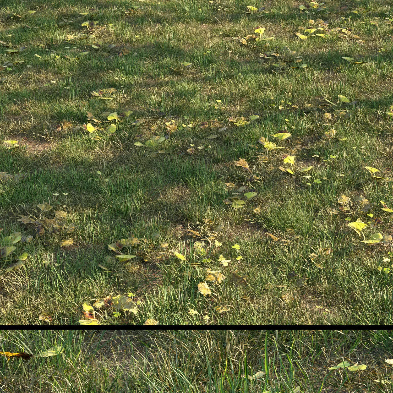 grass10 3D model_0