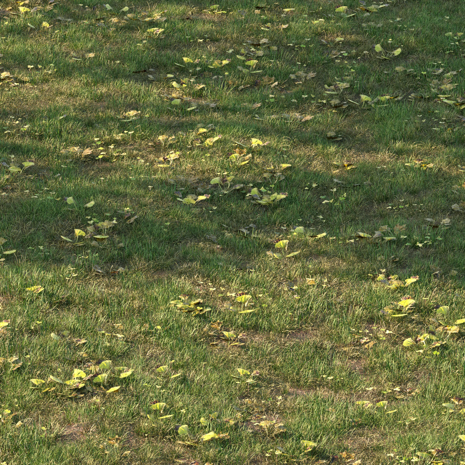 grass10 3D model_3