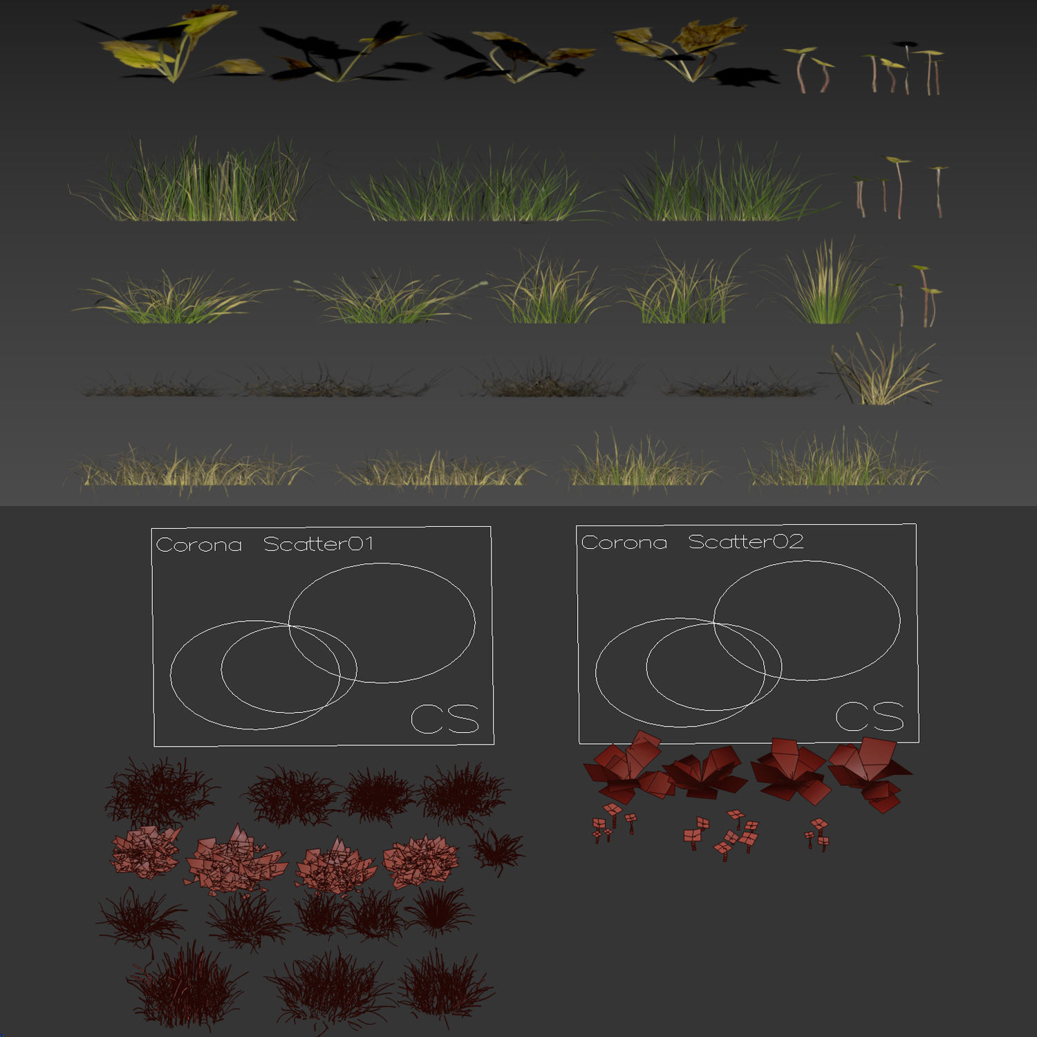 grass10 3D model_4
