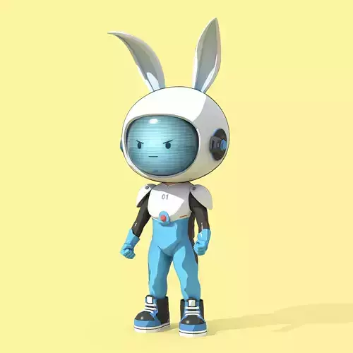 Bunny Collection 890