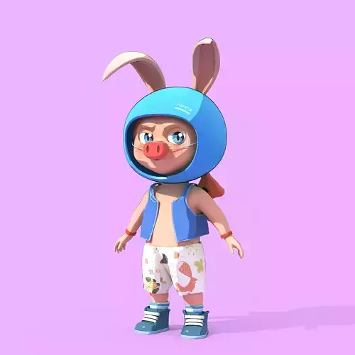 Bunny Collection 894