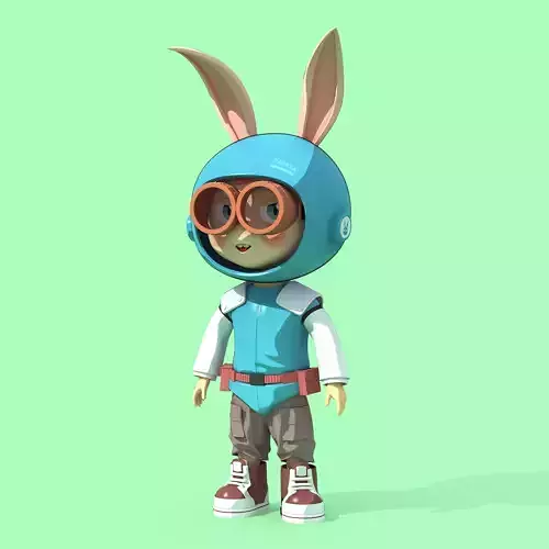 Bunny Collection 895