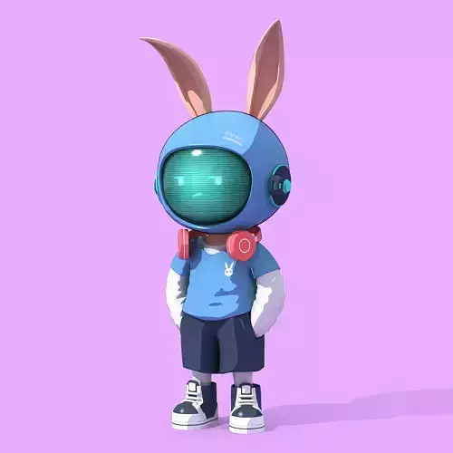 Bunny Collection 907