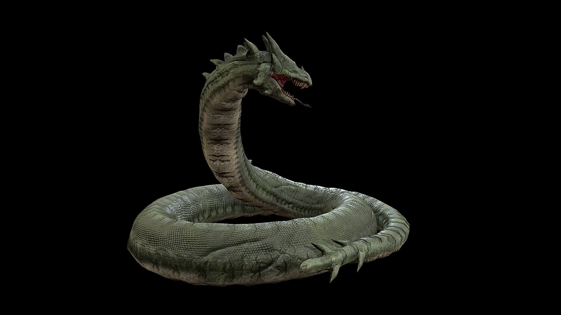 The Wyrm - Limbless Wingless Dragon Low-poly 3D model_42