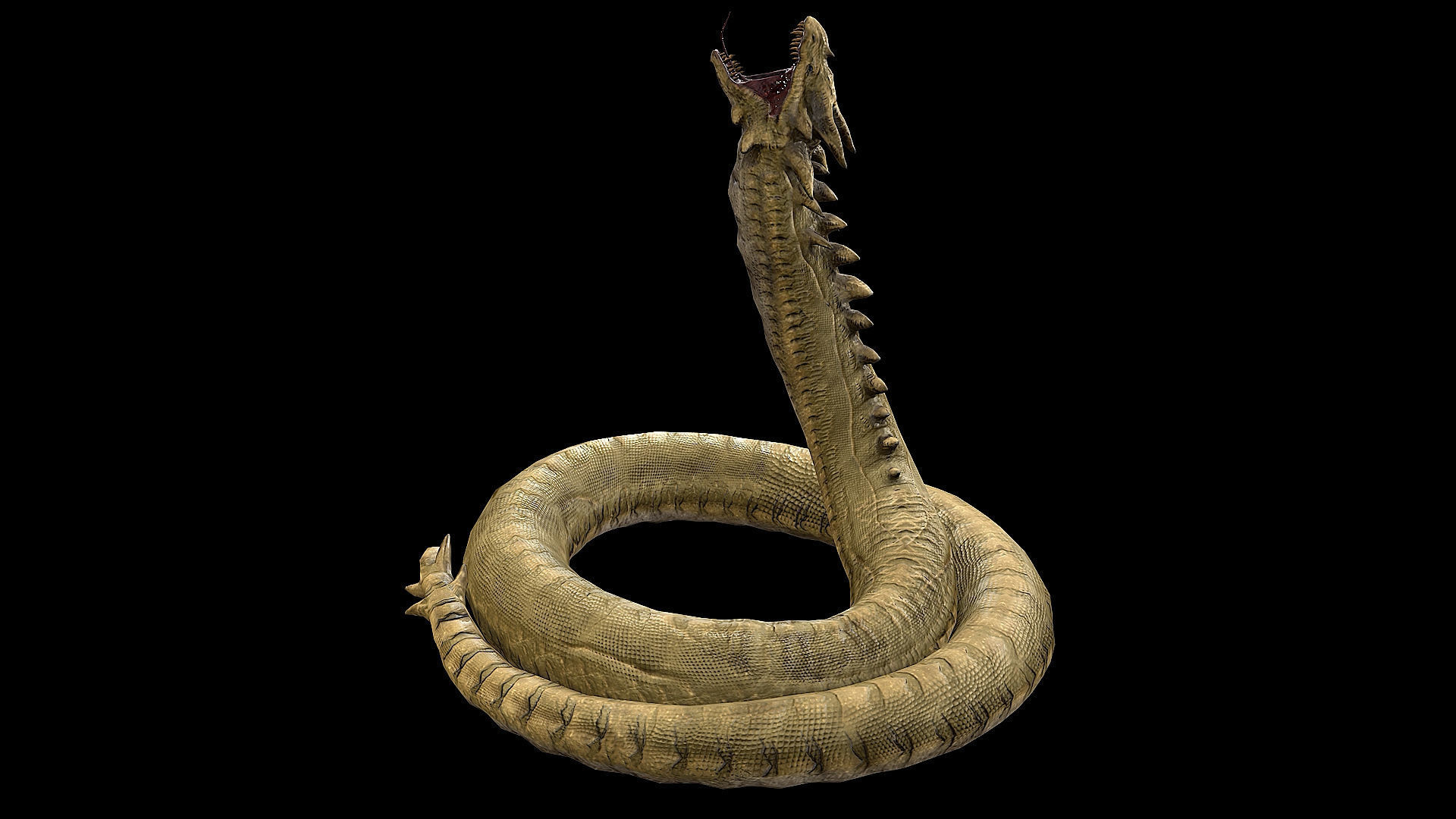 The Wyrm - Limbless Wingless Dragon Low-poly 3D model_30