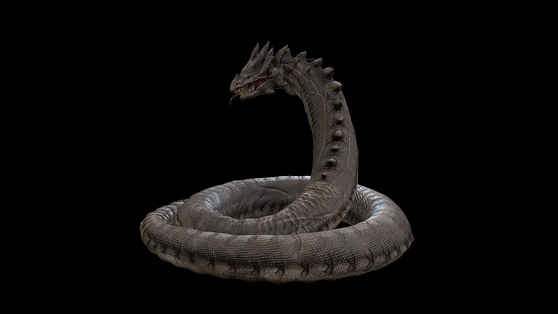 The Wyrm - Limbless Wingless Dragon Low-poly 3D model_6
