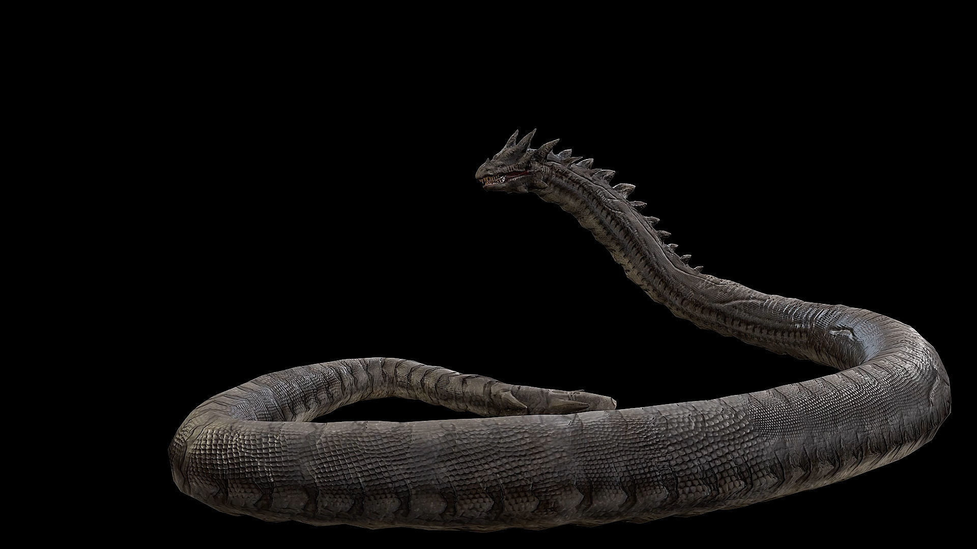 The Wyrm - Limbless Wingless Dragon Low-poly 3D model_35