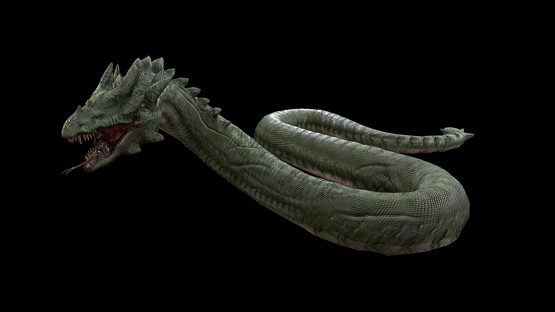 The Wyrm - Limbless Wingless Dragon Low-poly 3D model_25