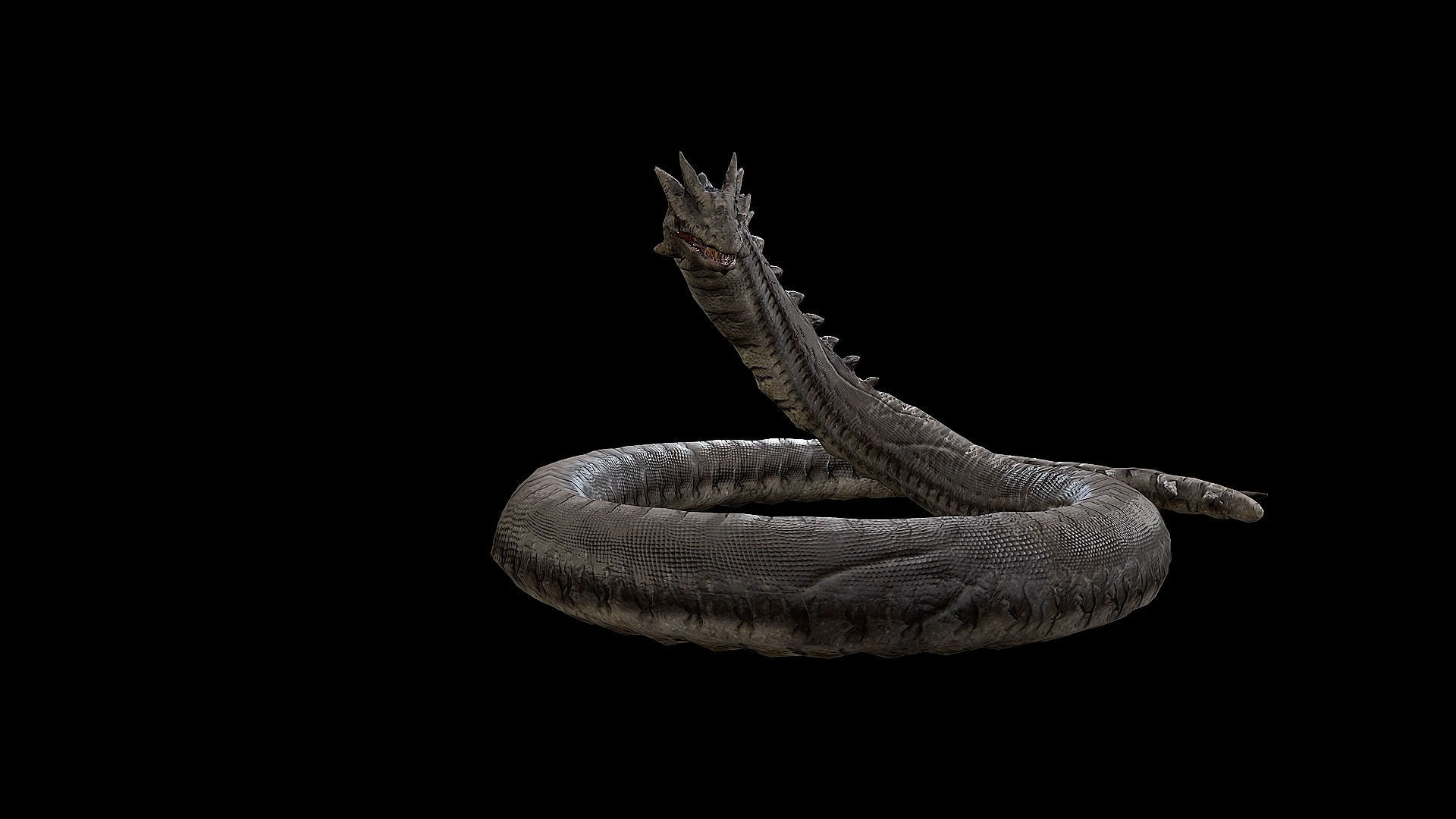 The Wyrm - Limbless Wingless Dragon Low-poly 3D model_37