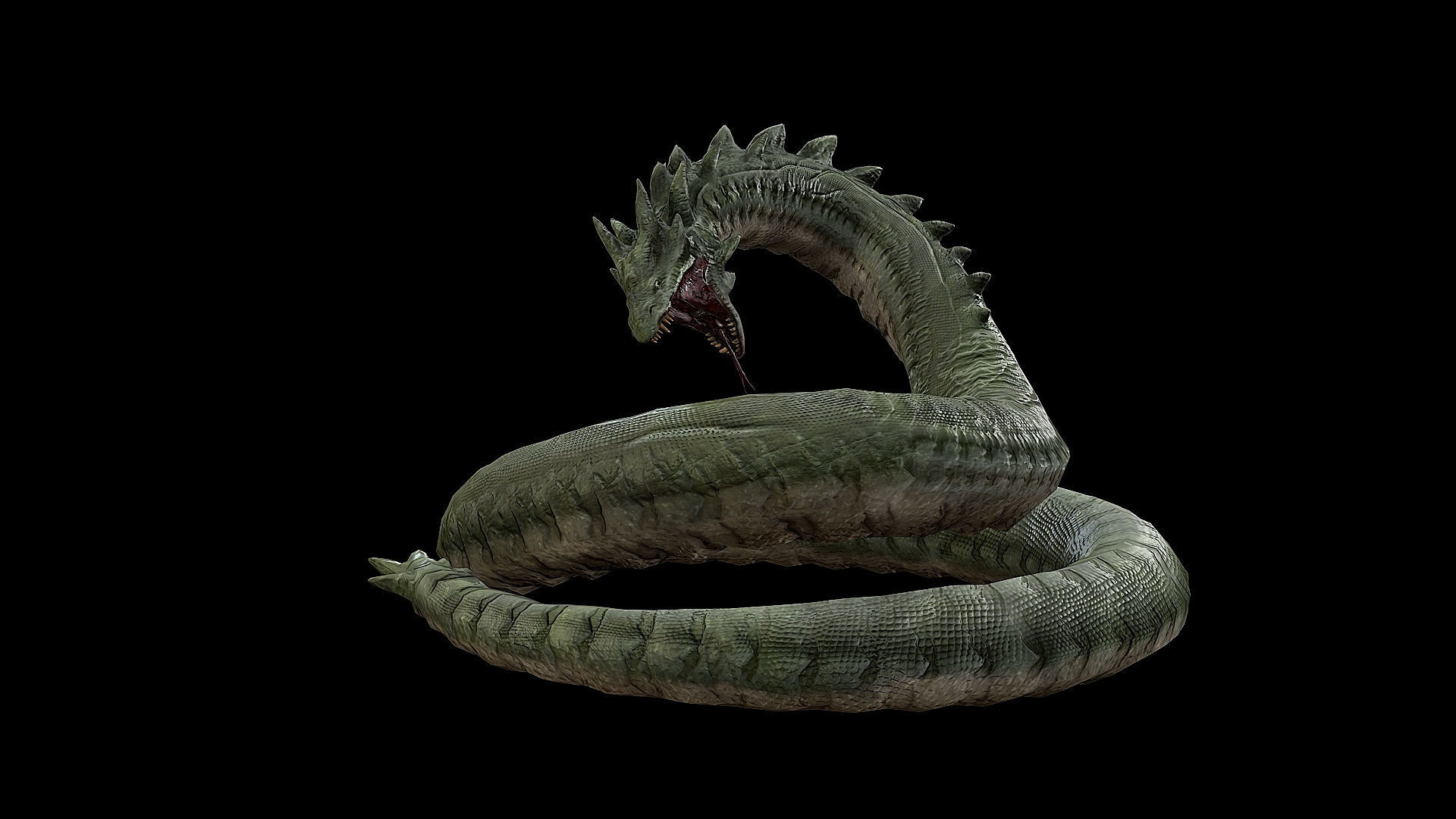 The Wyrm - Limbless Wingless Dragon Low-poly 3D model_41