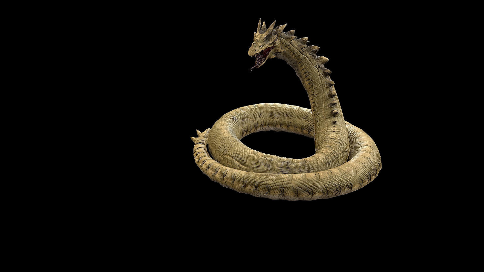 The Wyrm - Limbless Wingless Dragon Low-poly 3D model_28