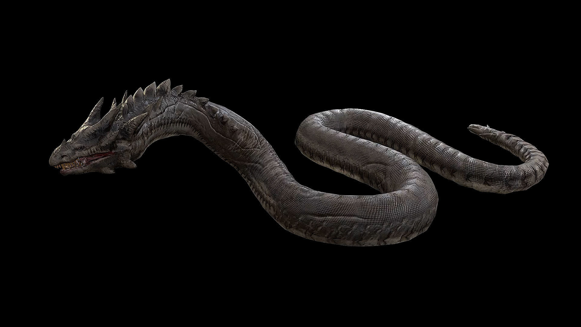 The Wyrm - Limbless Wingless Dragon Low-poly 3D model_27