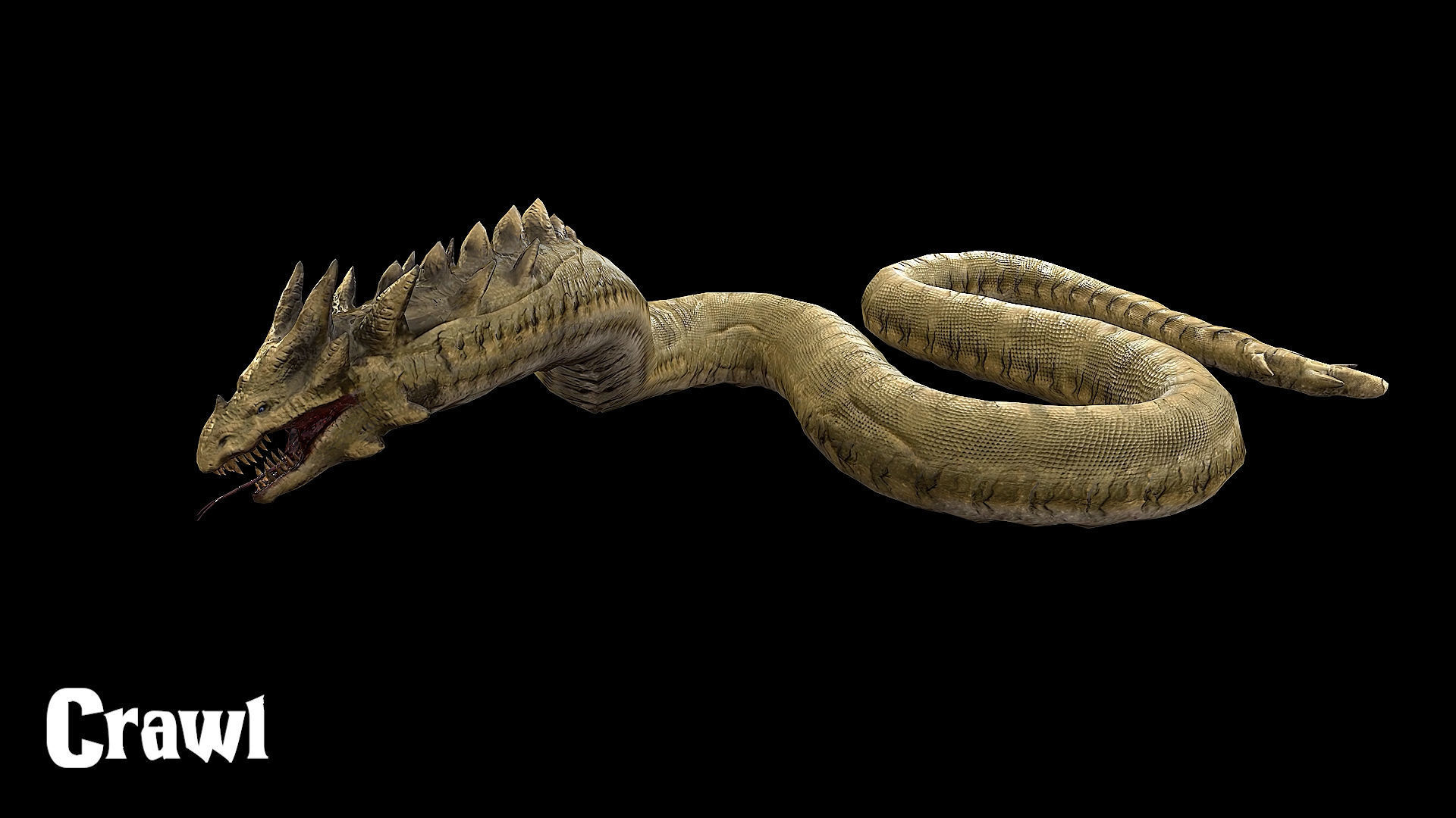 The Wyrm - Limbless Wingless Dragon Low-poly 3D model_12