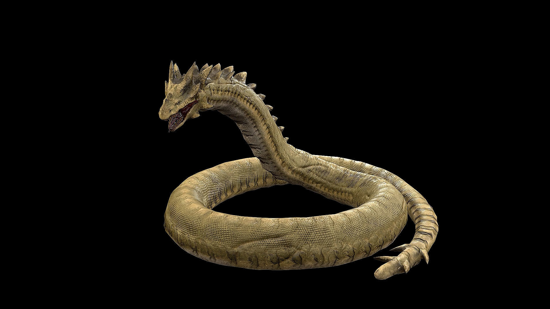 The Wyrm - Limbless Wingless Dragon Low-poly 3D model_40