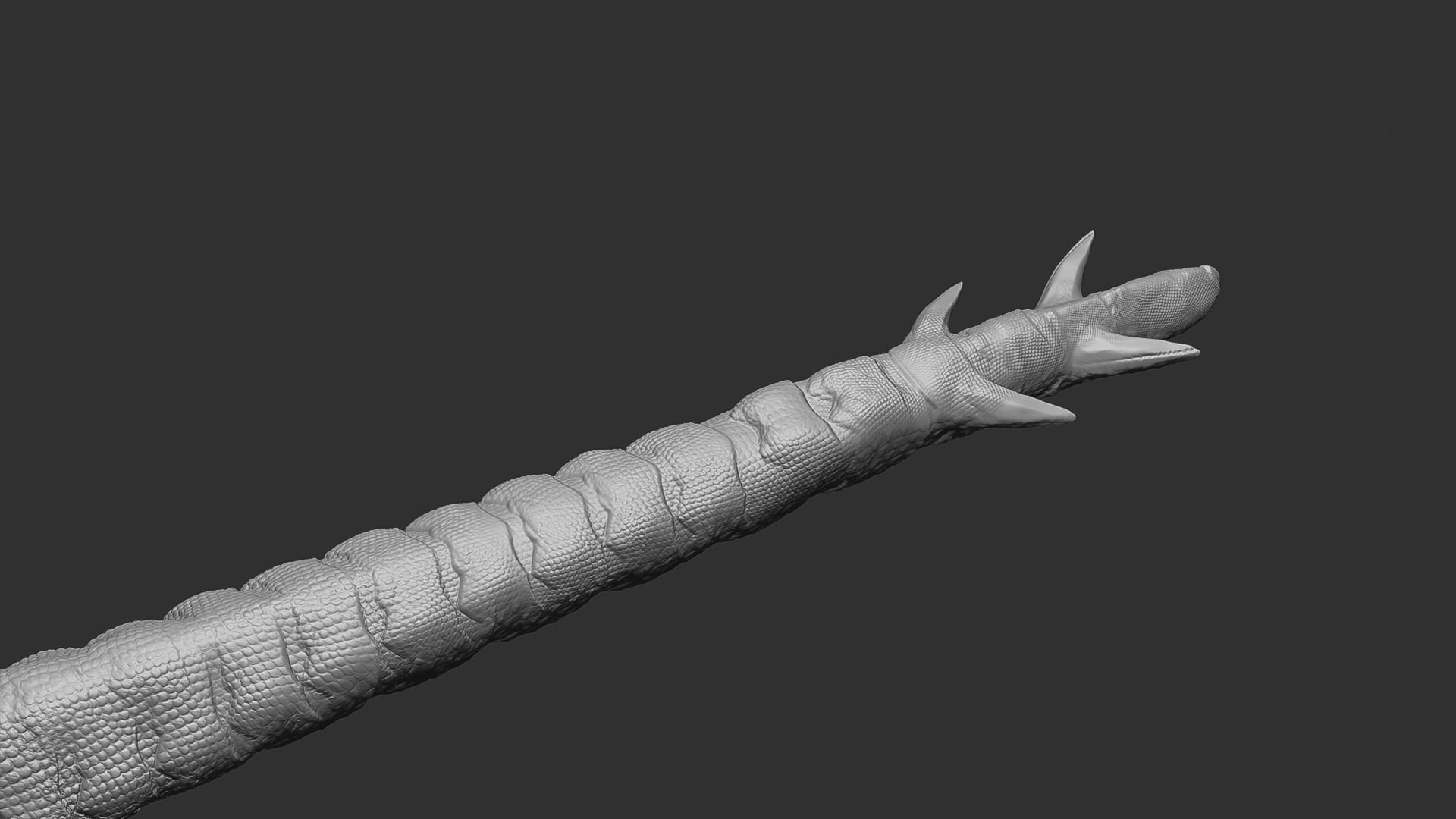 The Wyrm - Limbless Wingless Dragon Low-poly 3D model_31