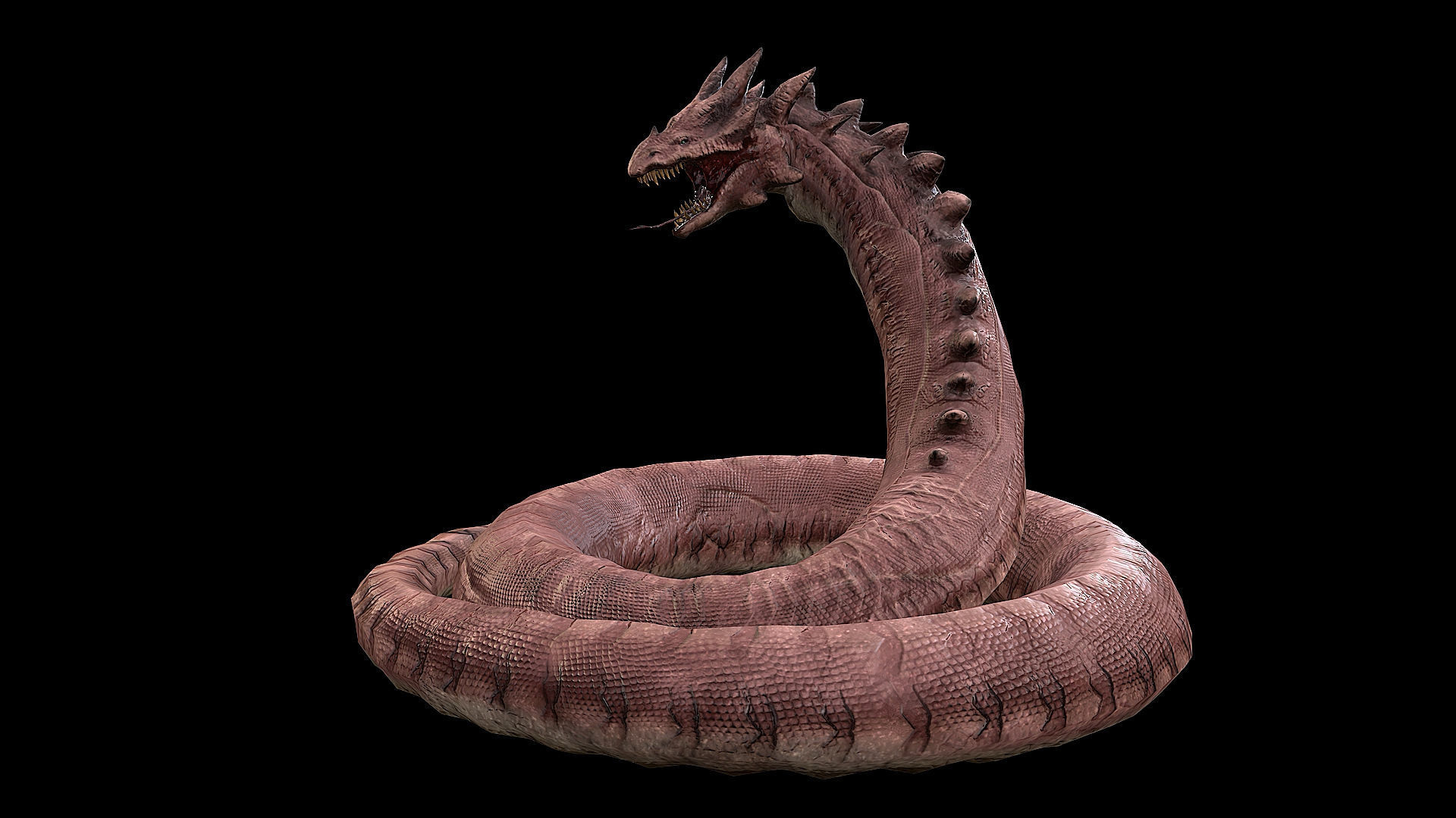 The Wyrm - Limbless Wingless Dragon Low-poly 3D model_29