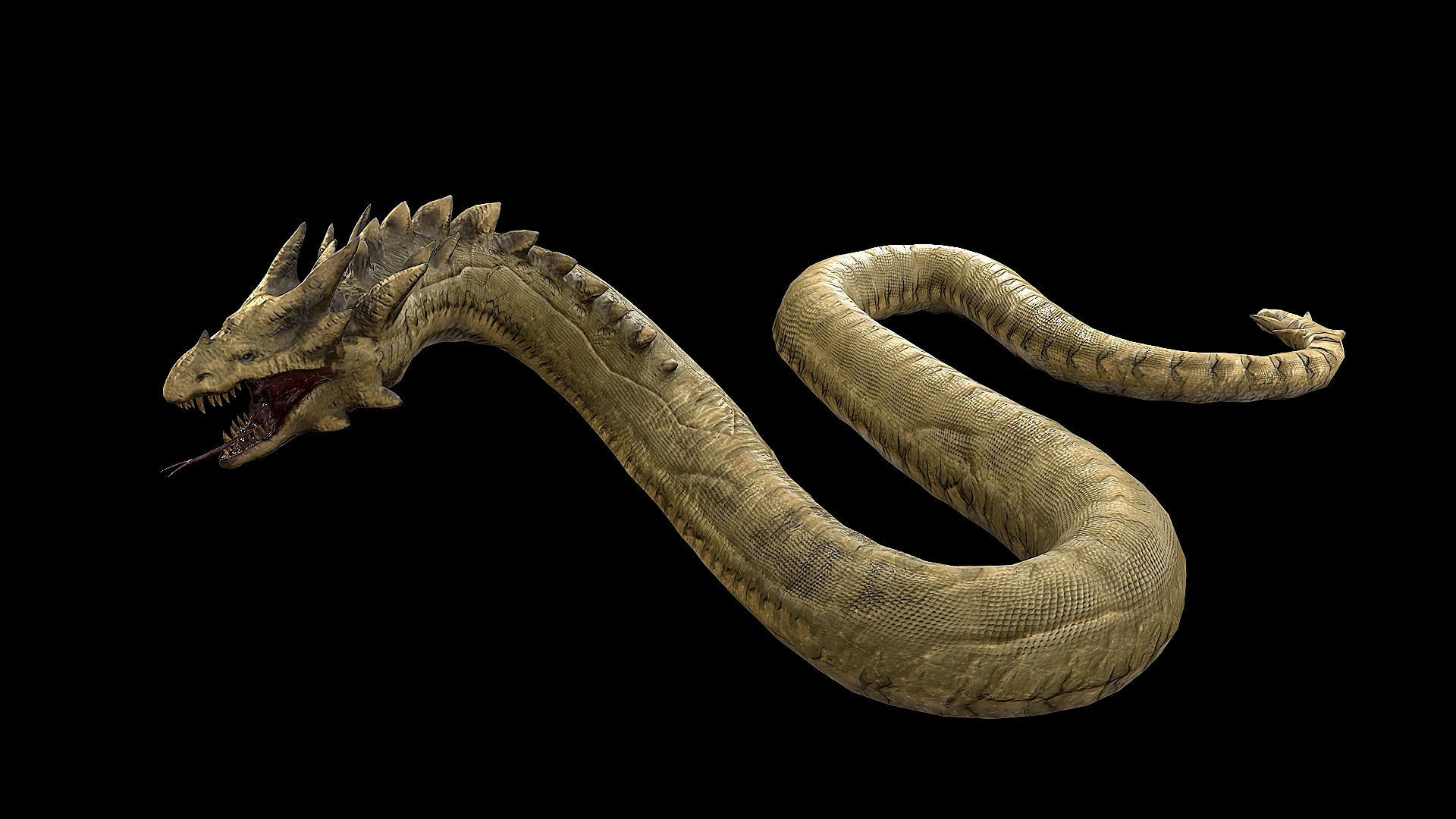 The Wyrm - Limbless Wingless Dragon Low-poly 3D model_26