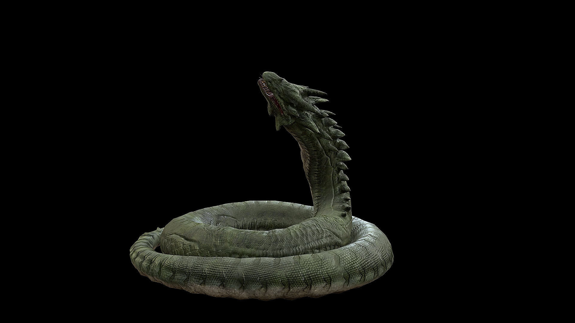 The Wyrm - Limbless Wingless Dragon Low-poly 3D model_44