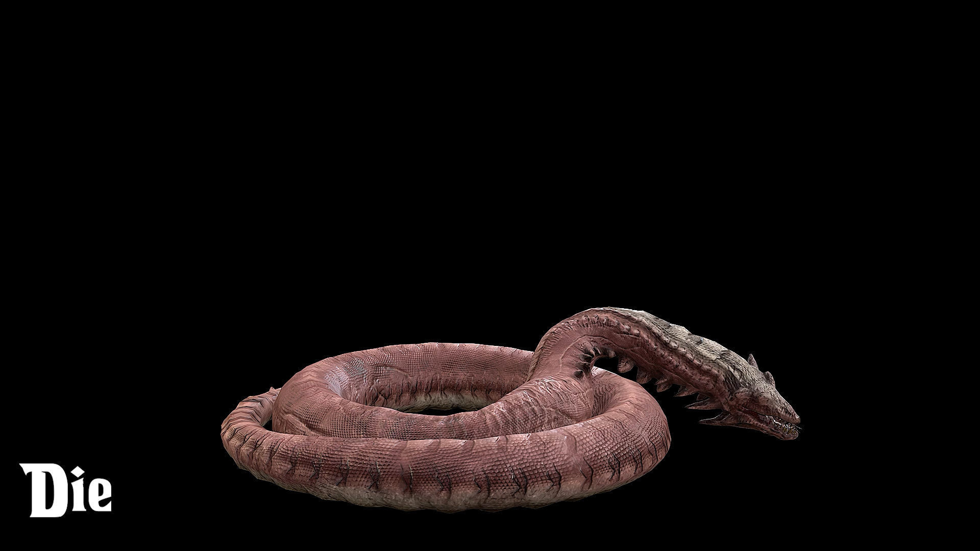 The Wyrm - Limbless Wingless Dragon Low-poly 3D model_19