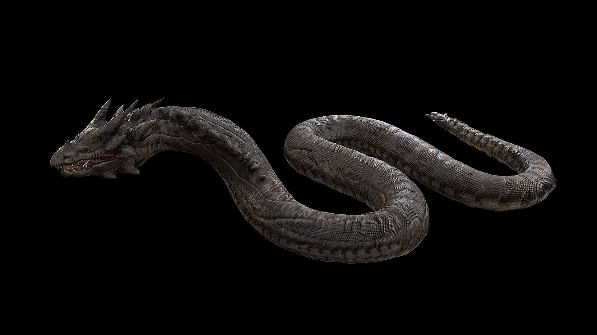 The Wyrm - Limbless Wingless Dragon Low-poly 3D model_34