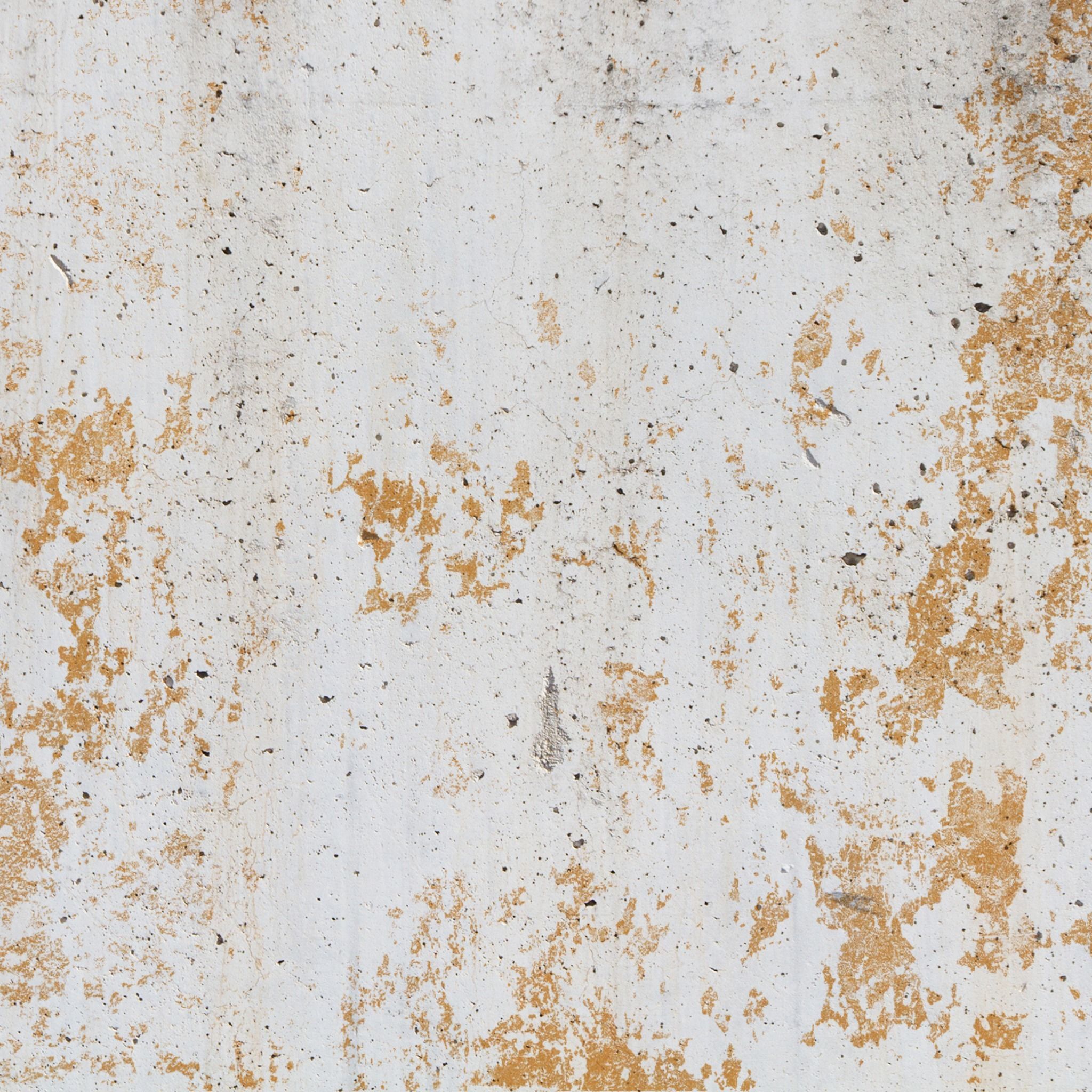 Grim Reaper 001 3D model_24