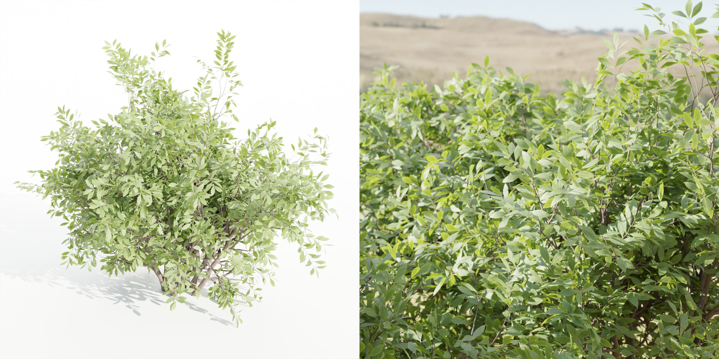 bushes 4 collection vol 110-Blender 3D model_5