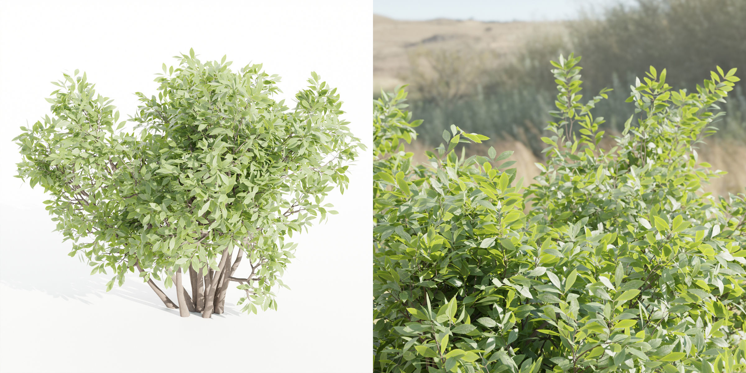 bushes 4 collection vol 110-Blender 3D model_6