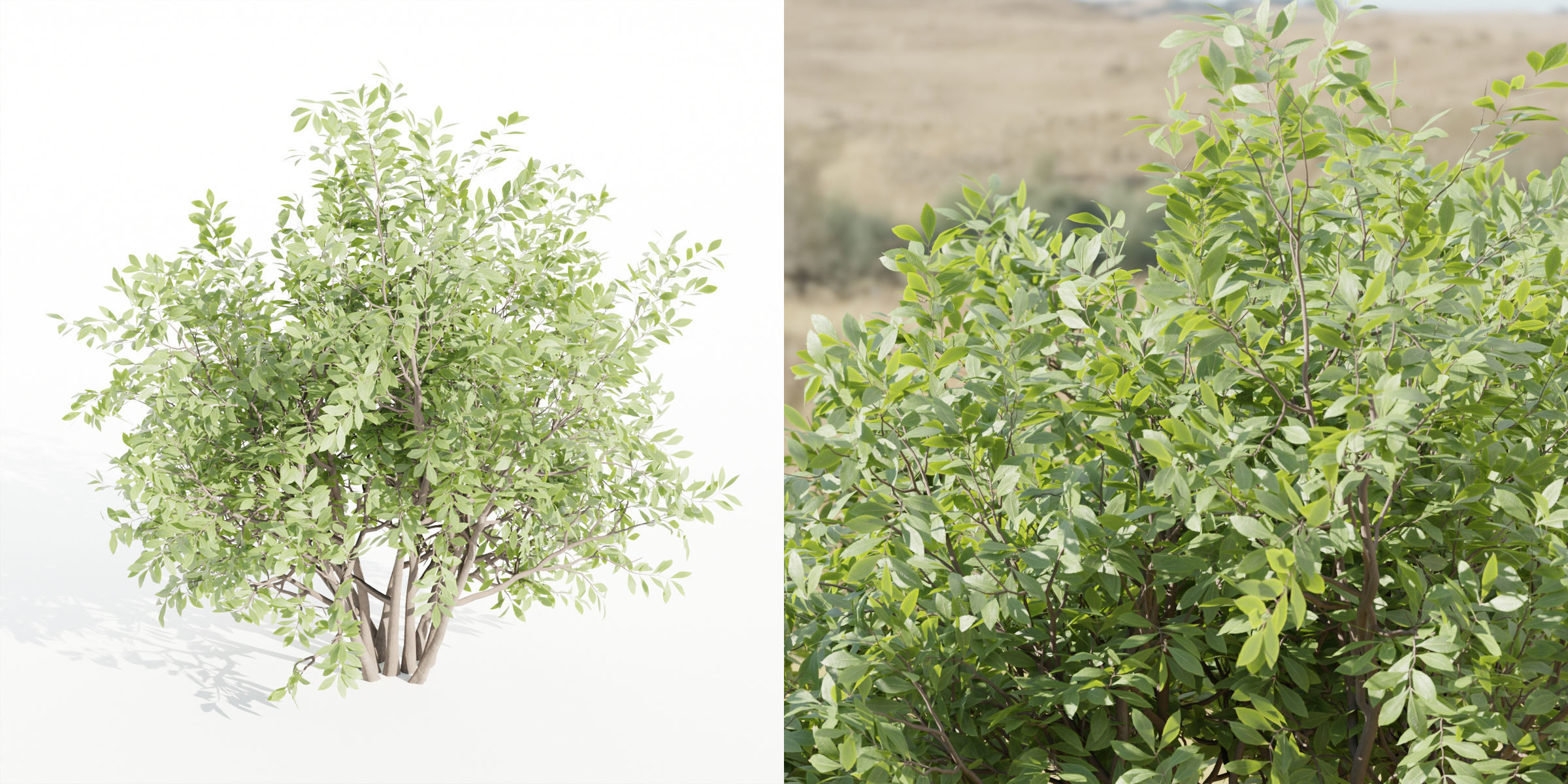 bushes 4 collection vol 110-Blender 3D model_8