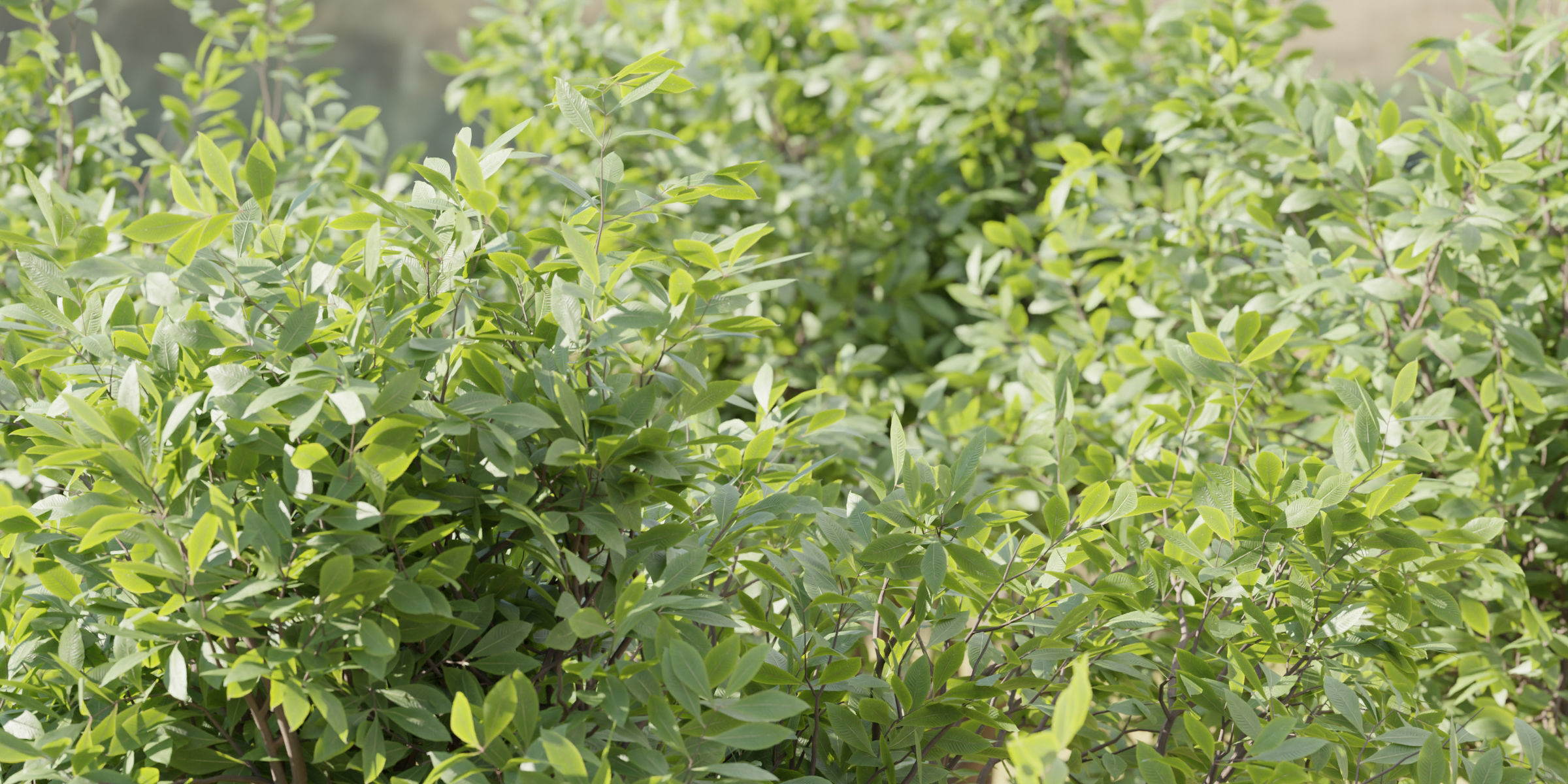 bushes 4 collection vol 110-Blender 3D model_4