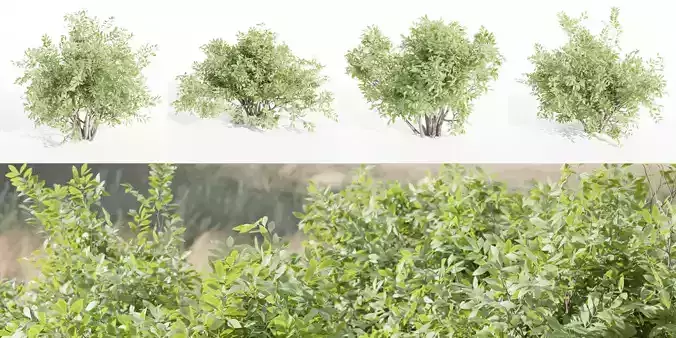 bushes 4 collection vol 110-Blender 3D model