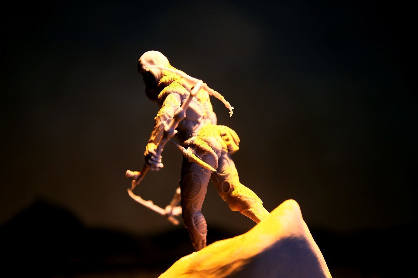 DUNE - Fremen Worm Rider - Dune Arrakis Warrior - Miniature 3D print model_23