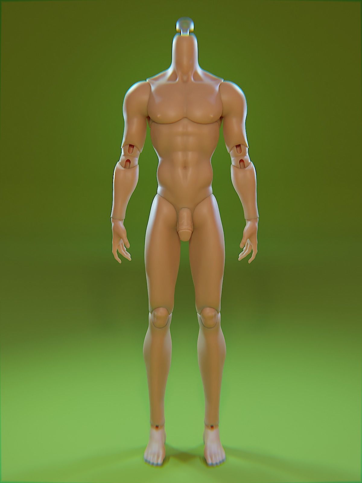 Caerus BJD Body 3D print model_2