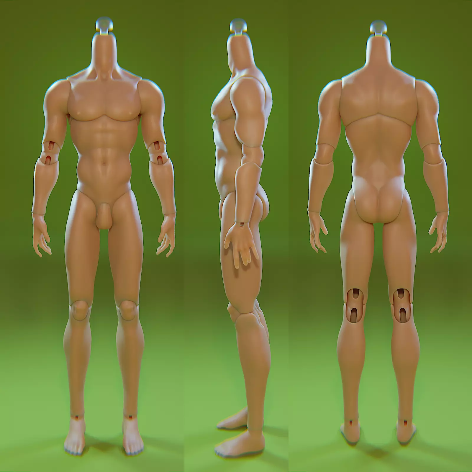 Caerus BJD Body 3D print model_0